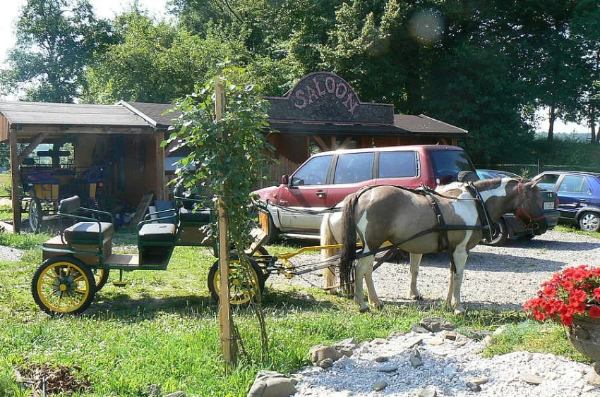 Projížďky bryčkou